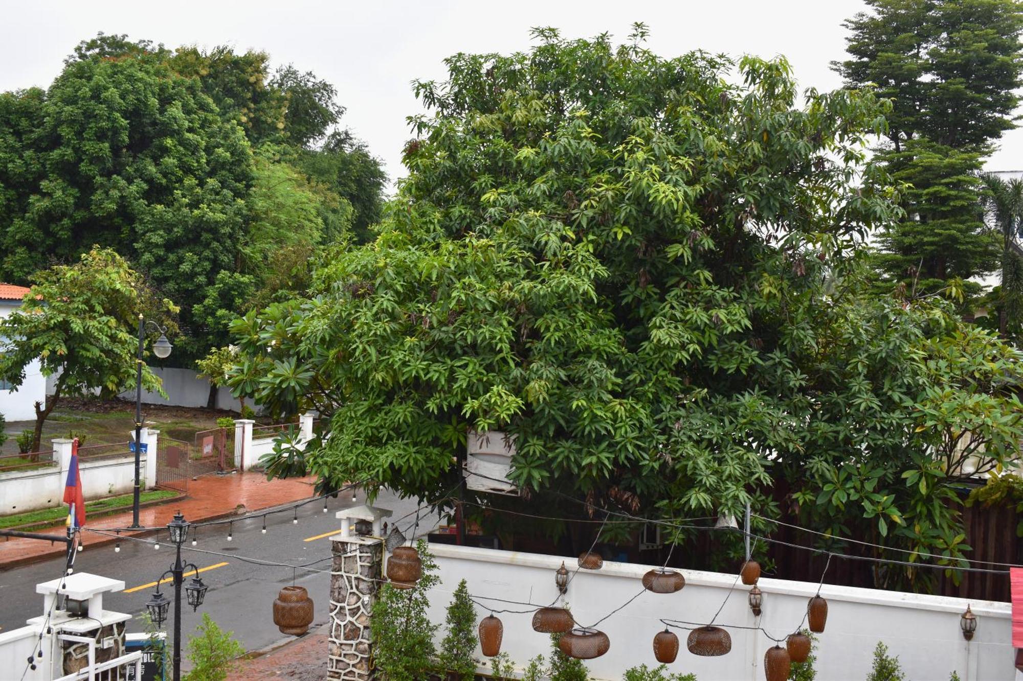 Monsane Villa Luang Prabang Exterior foto